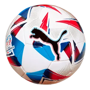 Puma Cumbre CONMEBOL Copa America Training Ball
